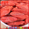 Gros et juteux !! goji berry médecine chinoise boutures de baies de goji baie de dragon baies de dragon Zéro pesticide